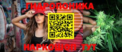jwh Лесосибирск