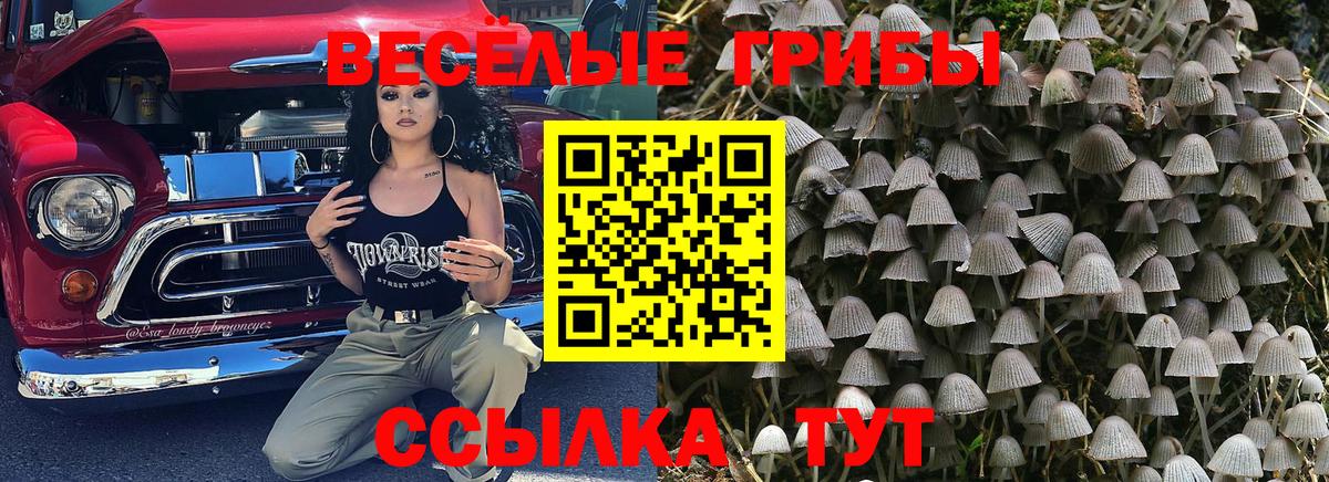 Пушкино  Псилоцибиновые грибы мухоморы  Галлюциногенные грибы ЛСД  Вход с VPN 