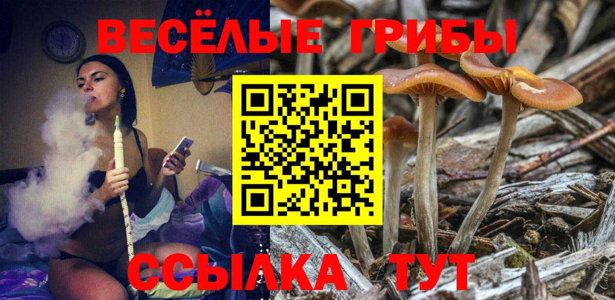 Галлюциногенные грибы MAGIC MUSHROOMS Пушкино