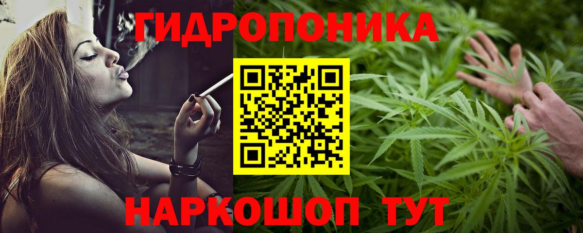 Пушкино  Бошки марихуана Ganja  Вход с VPN  Бошки марихуана конопля  Каннабис Bruce Banner 